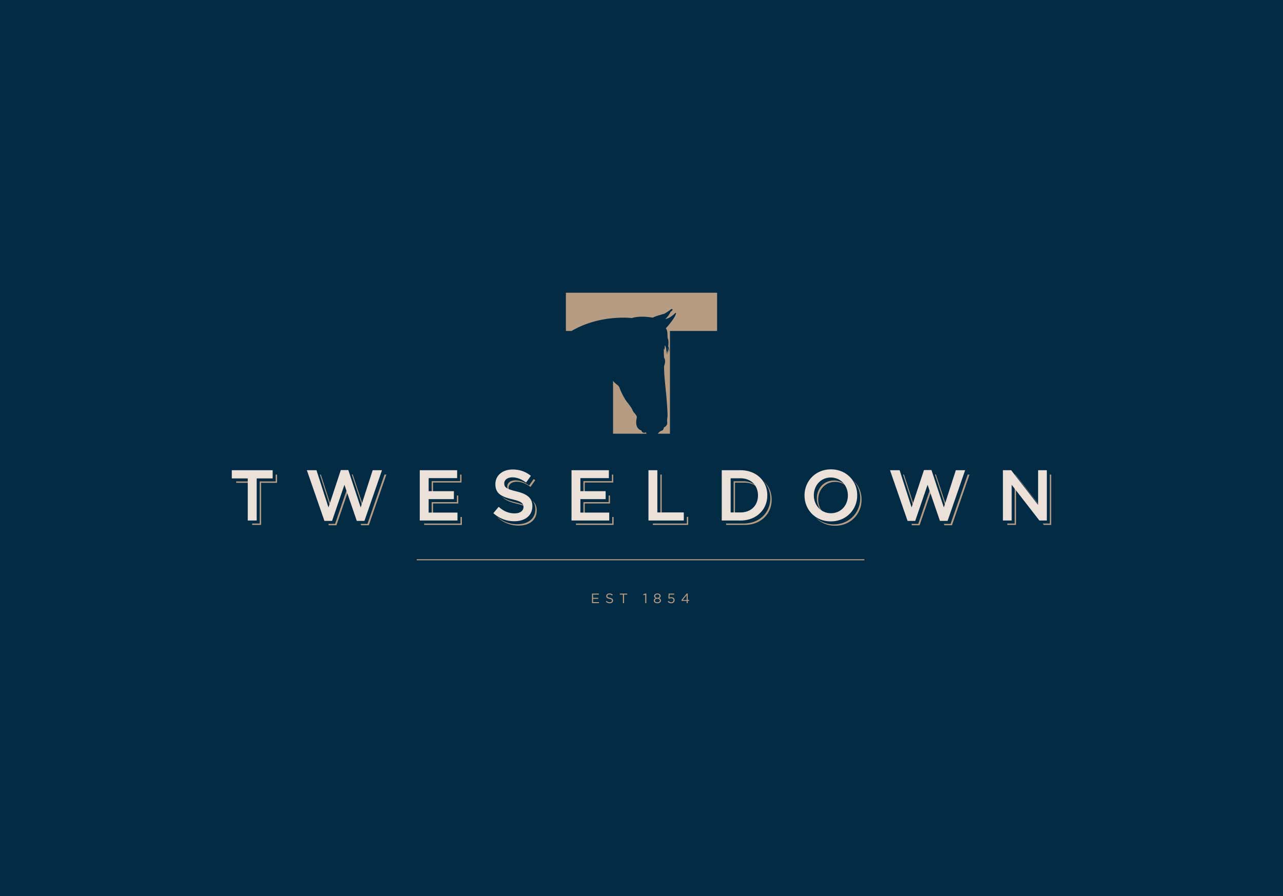 We are Noisy - Tweseldown - 01-Logo