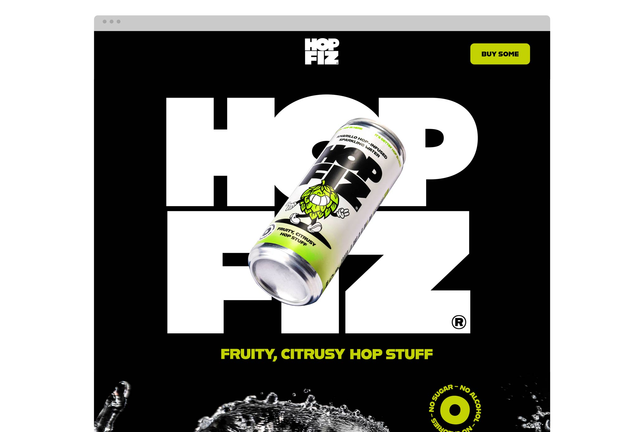 Noisy-Design-Hop-Fiz-Web-1
