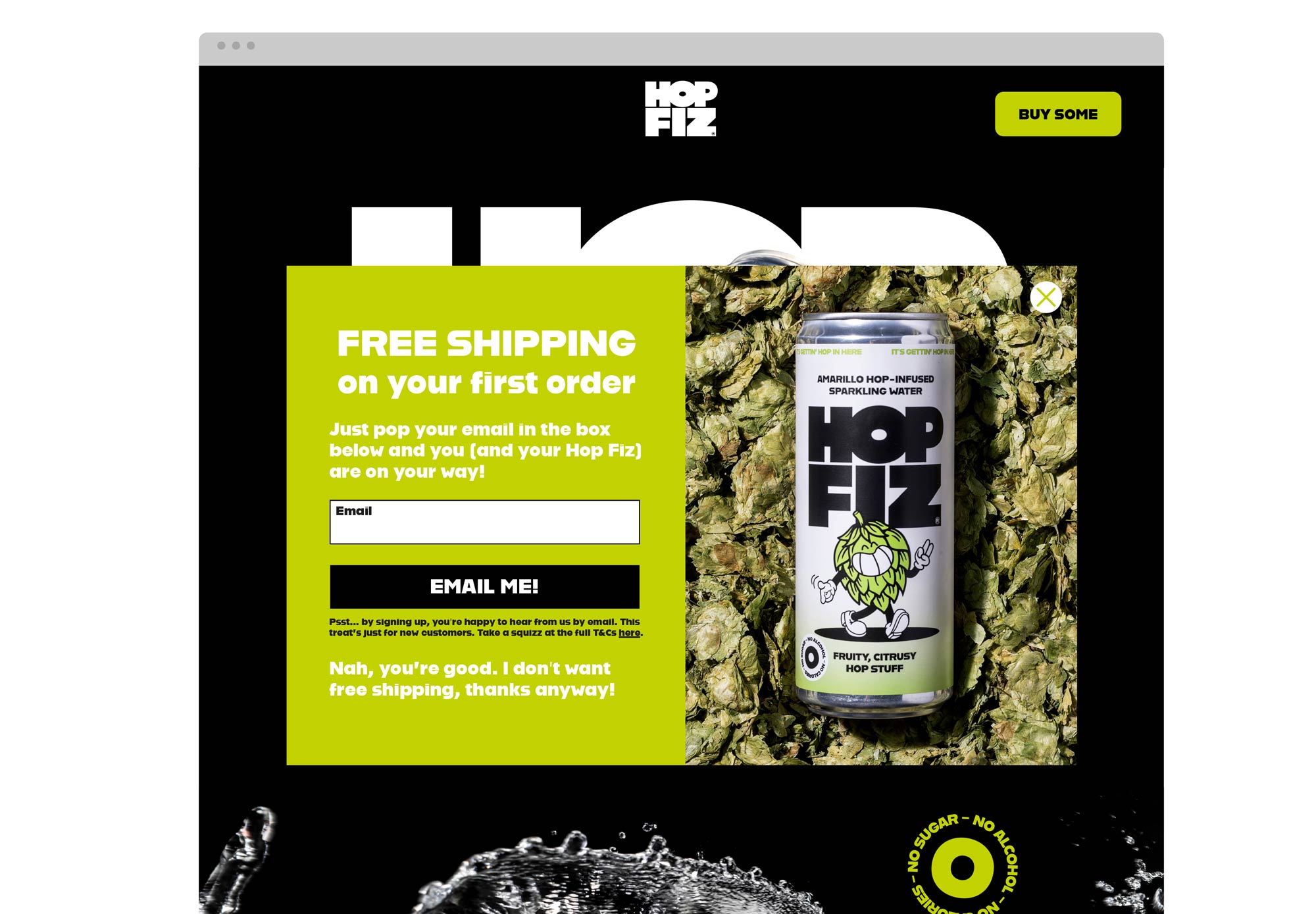 Noisy-Design-Hop-Fiz-Web-4