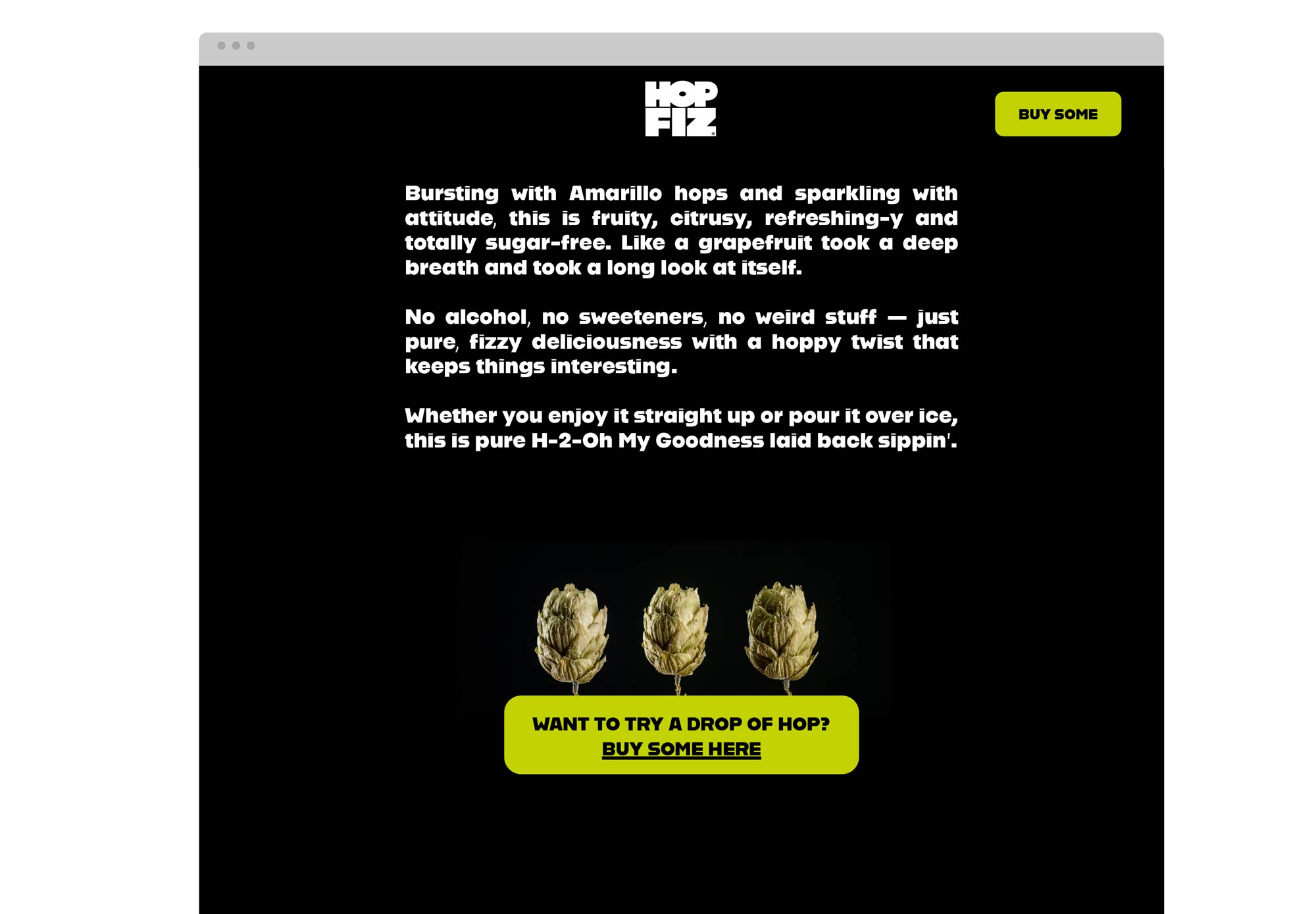 Noisy-Design-Hop-Fiz-Web-6