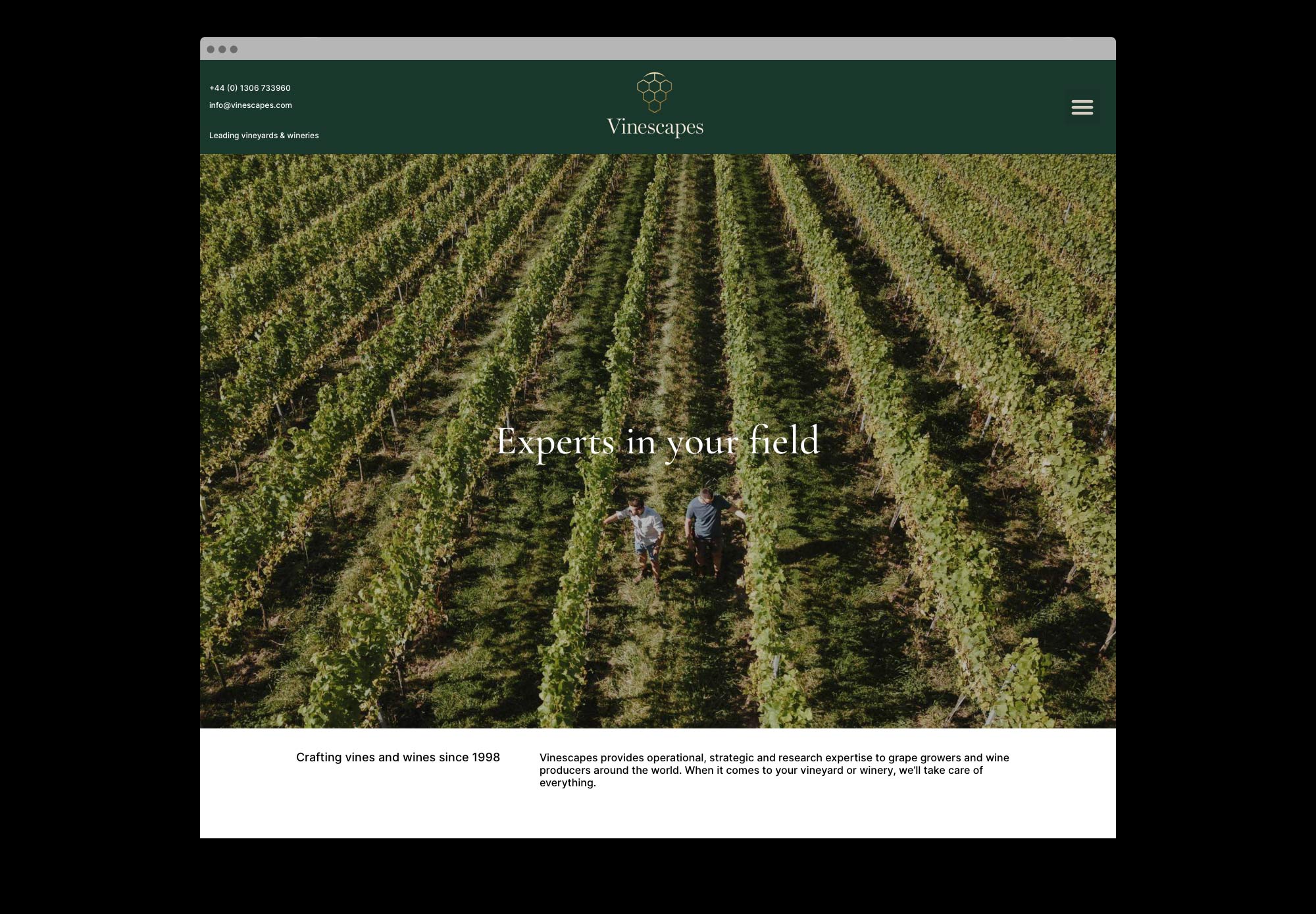 Noisy-Design-Vinescapes-Rebrand-Website-1
