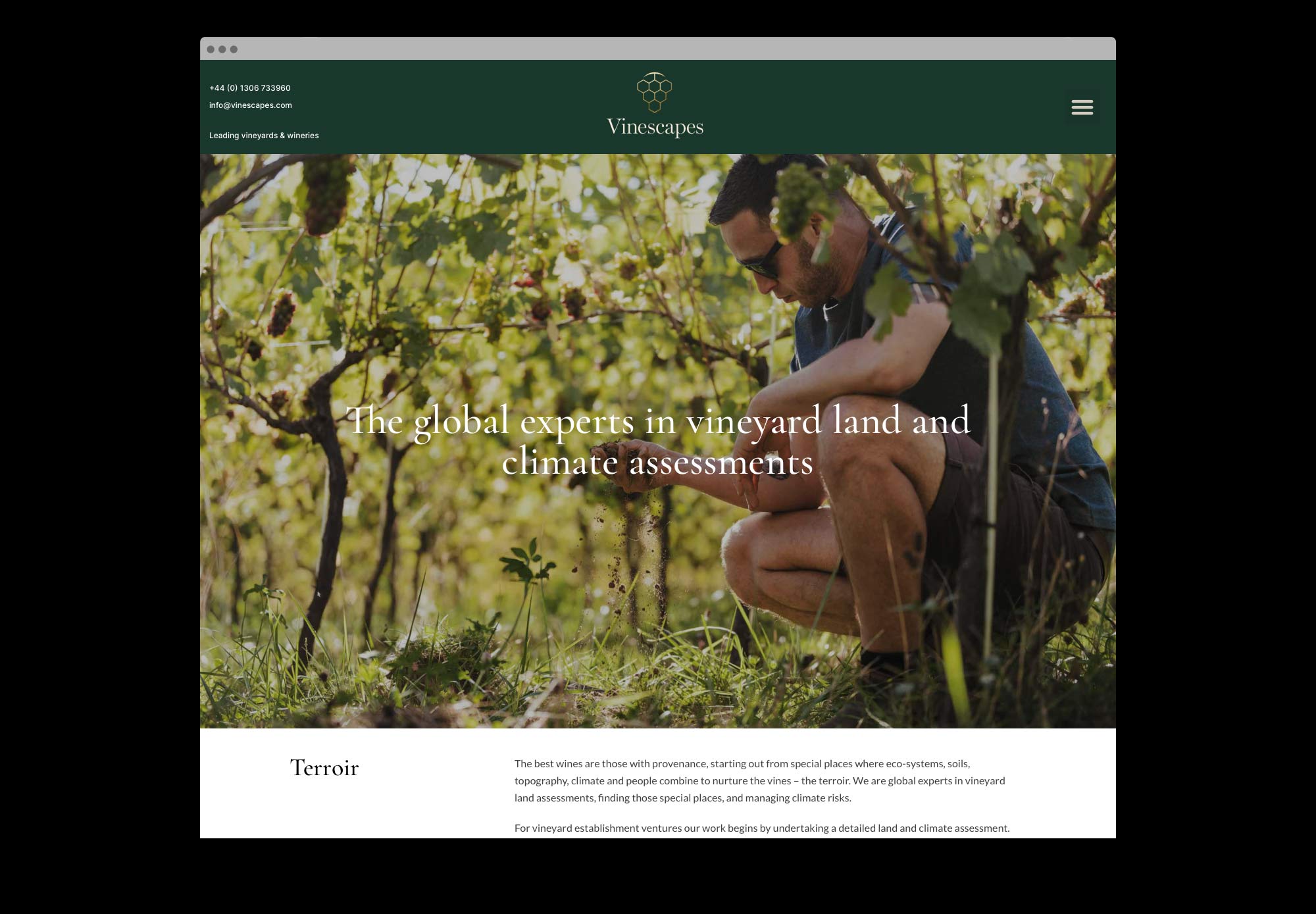 Noisy-Design-Vinescapes-Rebrand-Website-12