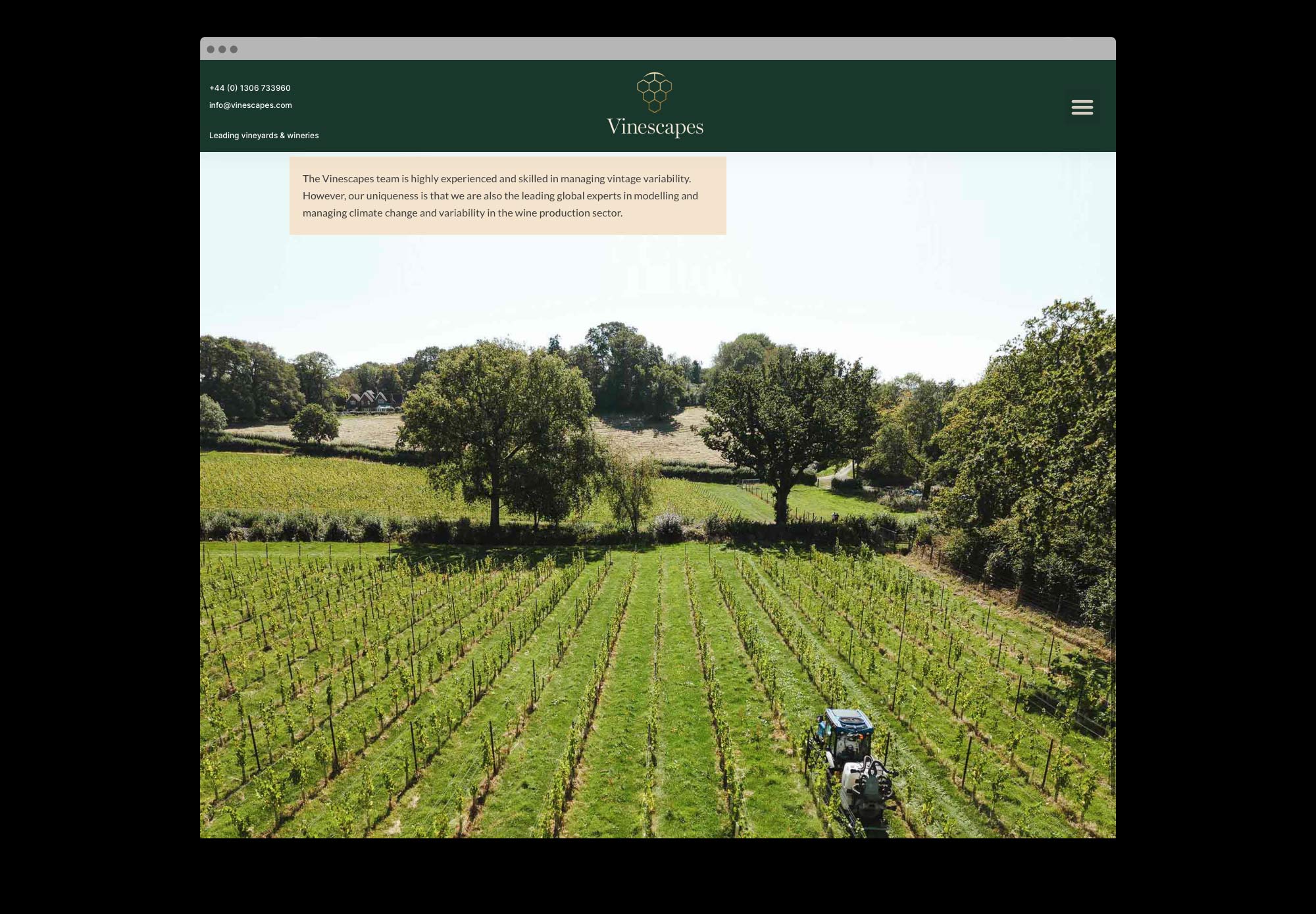 Noisy-Design-Vinescapes-Rebrand-Website-3